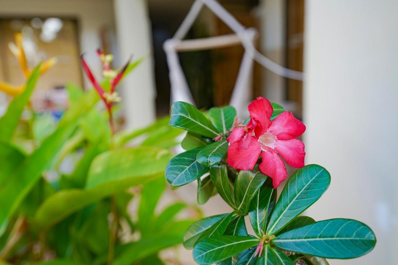 Royal Cottage Residence Lamai Beach  Buitenkant foto